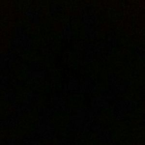 Meet your Posher, Earline